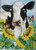 holstein and sunflowers