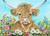 Highlander cow with flowers