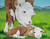 Hereford mom and calf