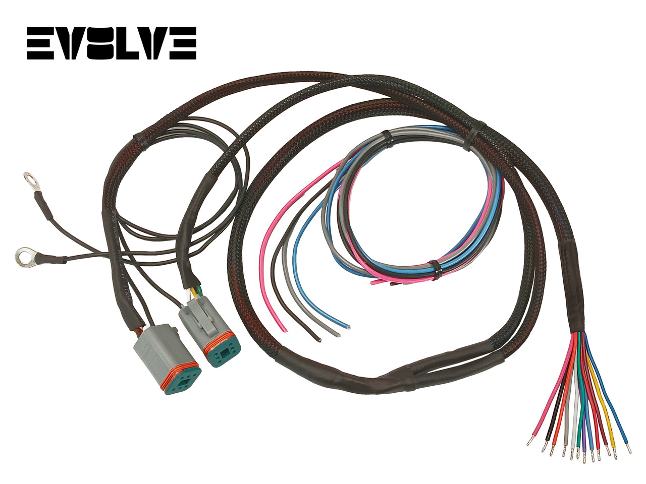 EVOLVE VALVE WIRING HARNESS 12', 17', 22' - ACCUAIR ENDO-VT TANK