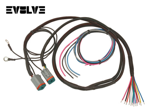 EVOLVE  VALVE WIRING HARNESS 12', 17', 22' - ACCUAIR ENDO-VT TANK TO AVS 9-SWITCH BOX