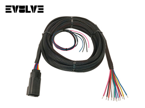 EVOLVE VALVE WIRING HARNESS 10', 15', 20' - AVS & EVOLVE MV4C MANIFOLD VALVE TO AVS 9-SWITCH BOX 