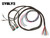 EVOLVE  VALVE WIRING HARNESS 12', 17', 22' - ACCUAIR ENDO-VT TANK TO AVS 9-SWITCH BOX