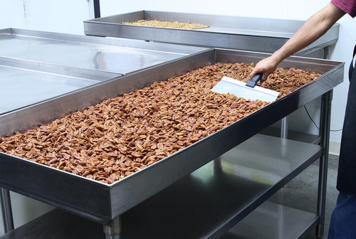 Nuts Are Good And Here Is Why