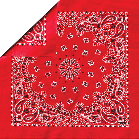 'Red Paisley' Bandana