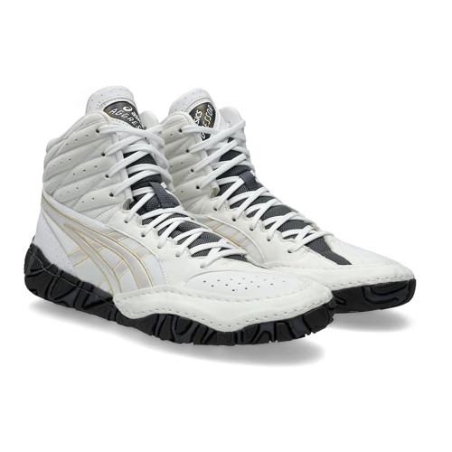 ASICS Men's Aggressor 6 Wrestling Shoes