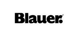 Blauer Blauer