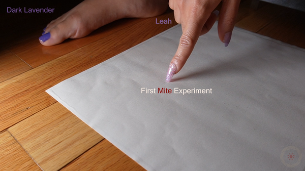 Leah's First Mite Experiment
