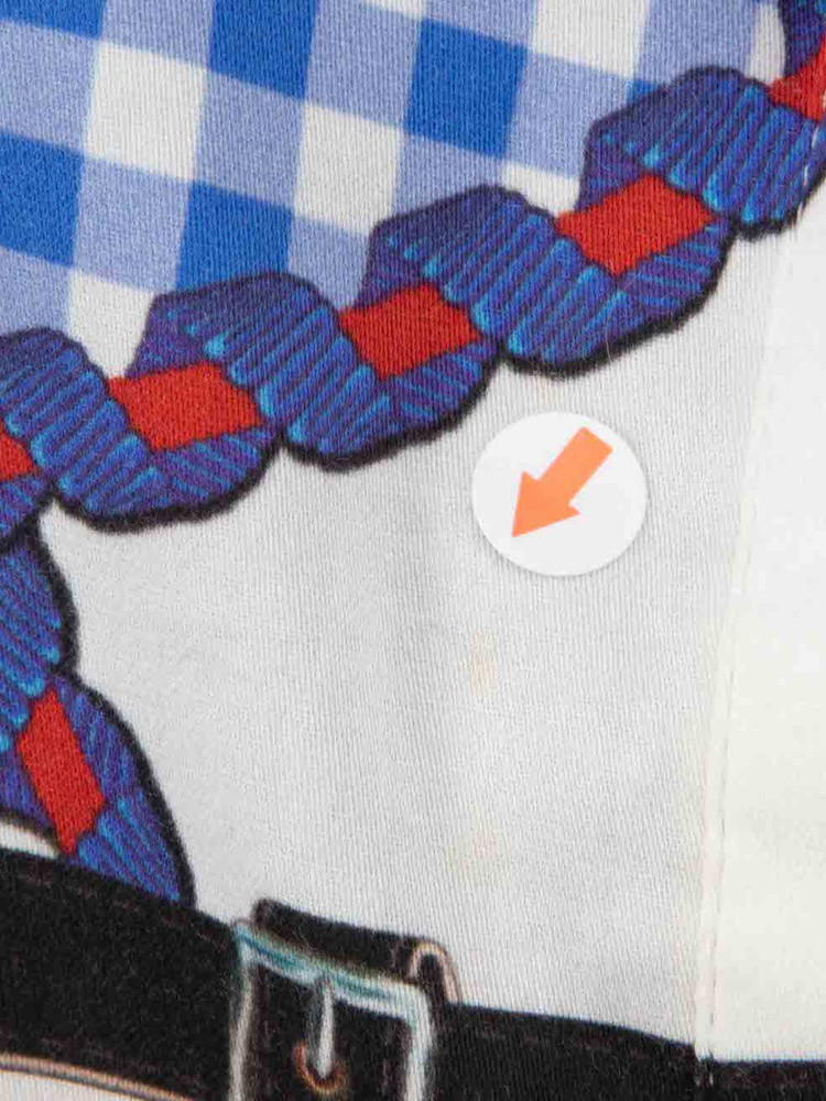 Mary Katrantzou Blue Gingham Sleeveless Shirt