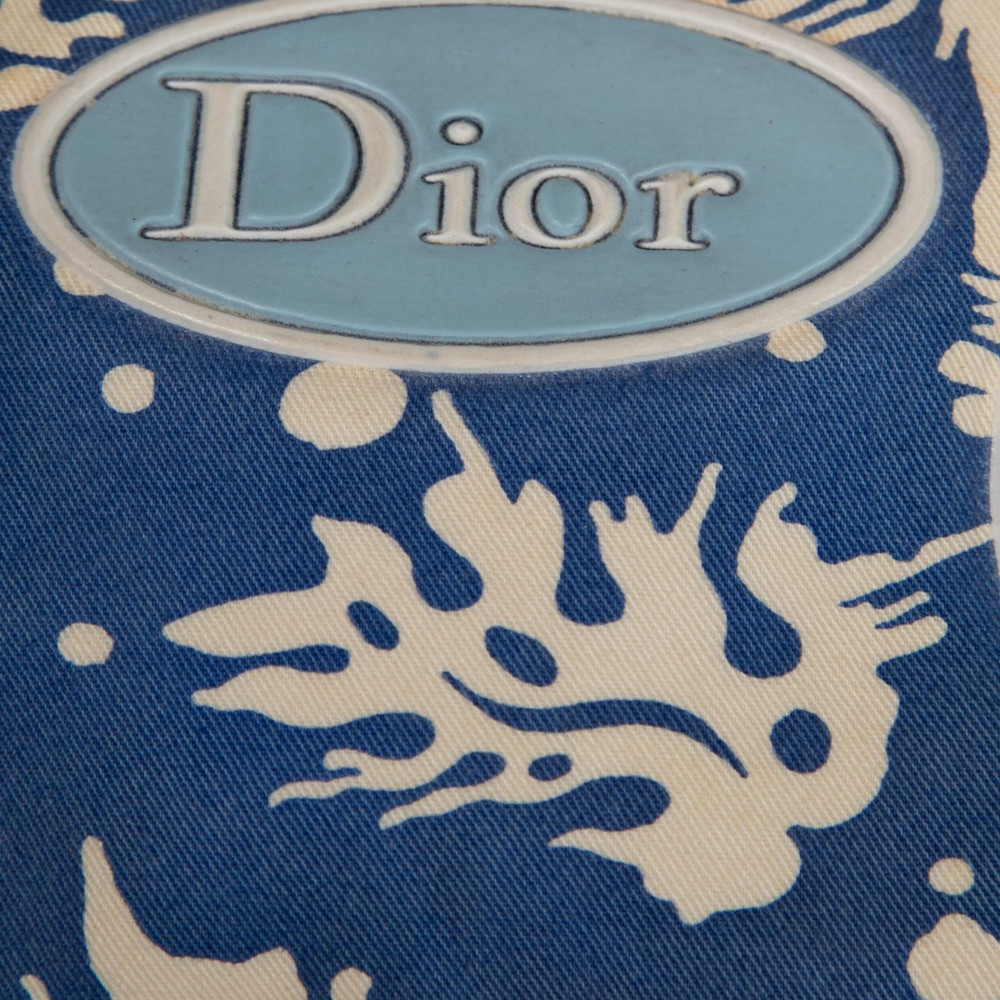Dior Blue Abstract Logo Mini Pouch Bag