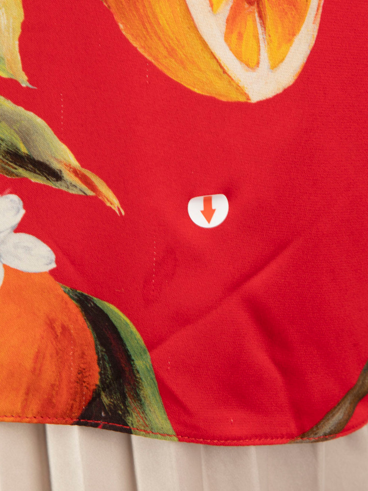 Dolce & Gabbana Red Floral Long Sleeves Blouse