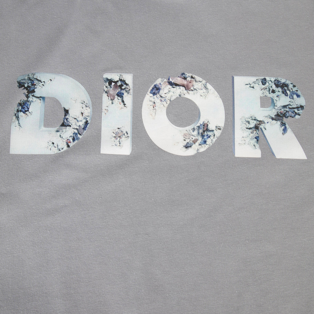 Dior Blue Floral Logo Print T-Shirt