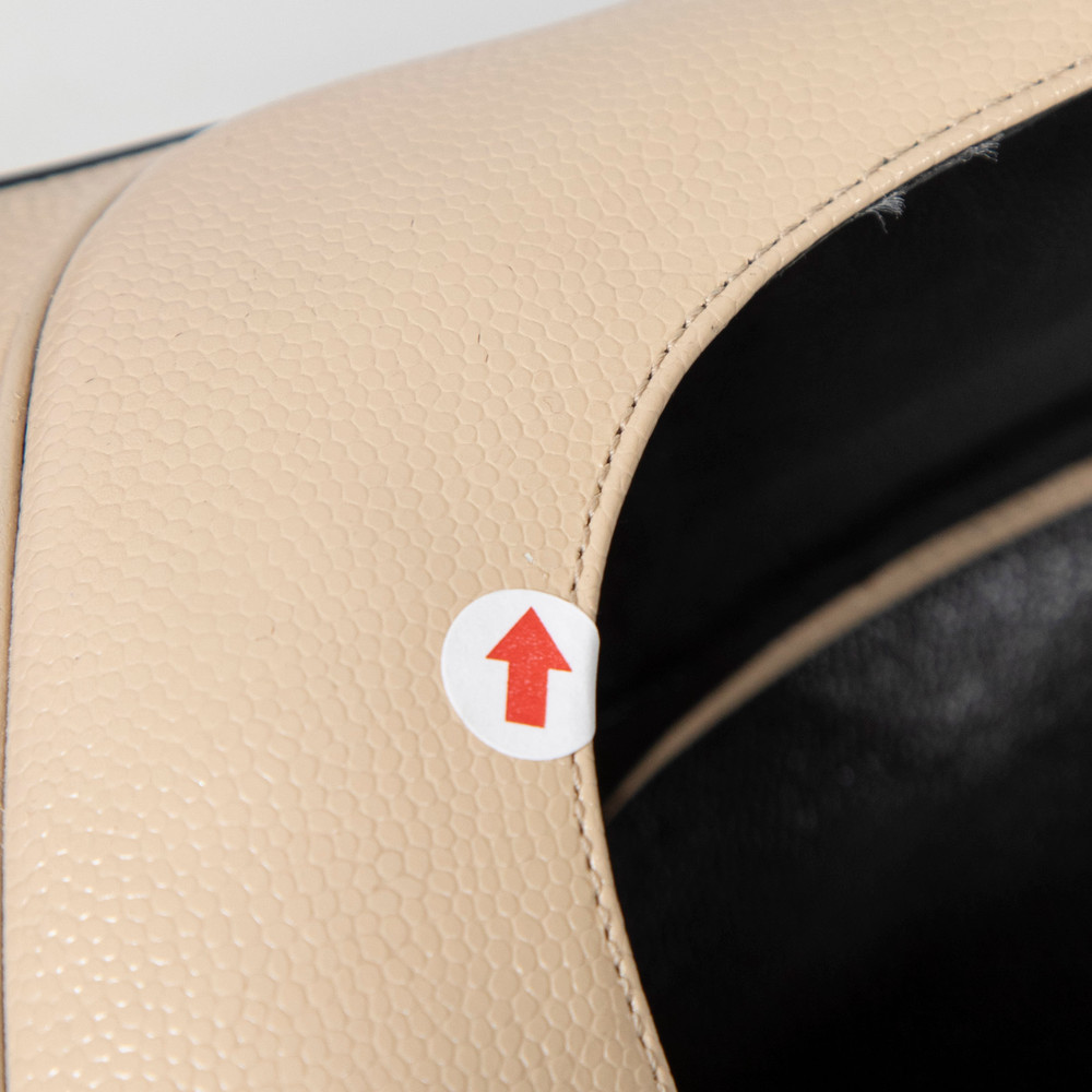 Saint Laurent Beige Leather Janis Pumps