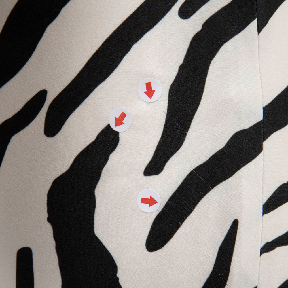 Christopher Esber Zebra Print Silk Dress