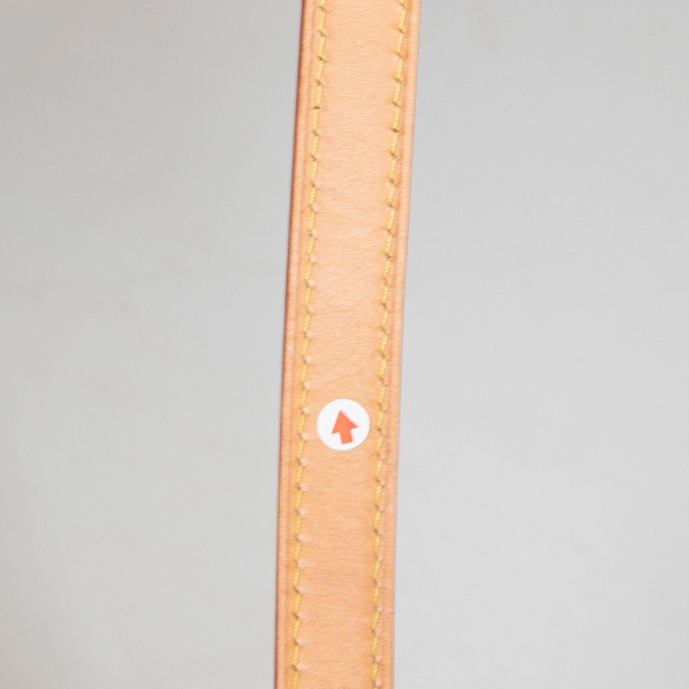 Louis Vuitton Brown Monogram Loop Bag