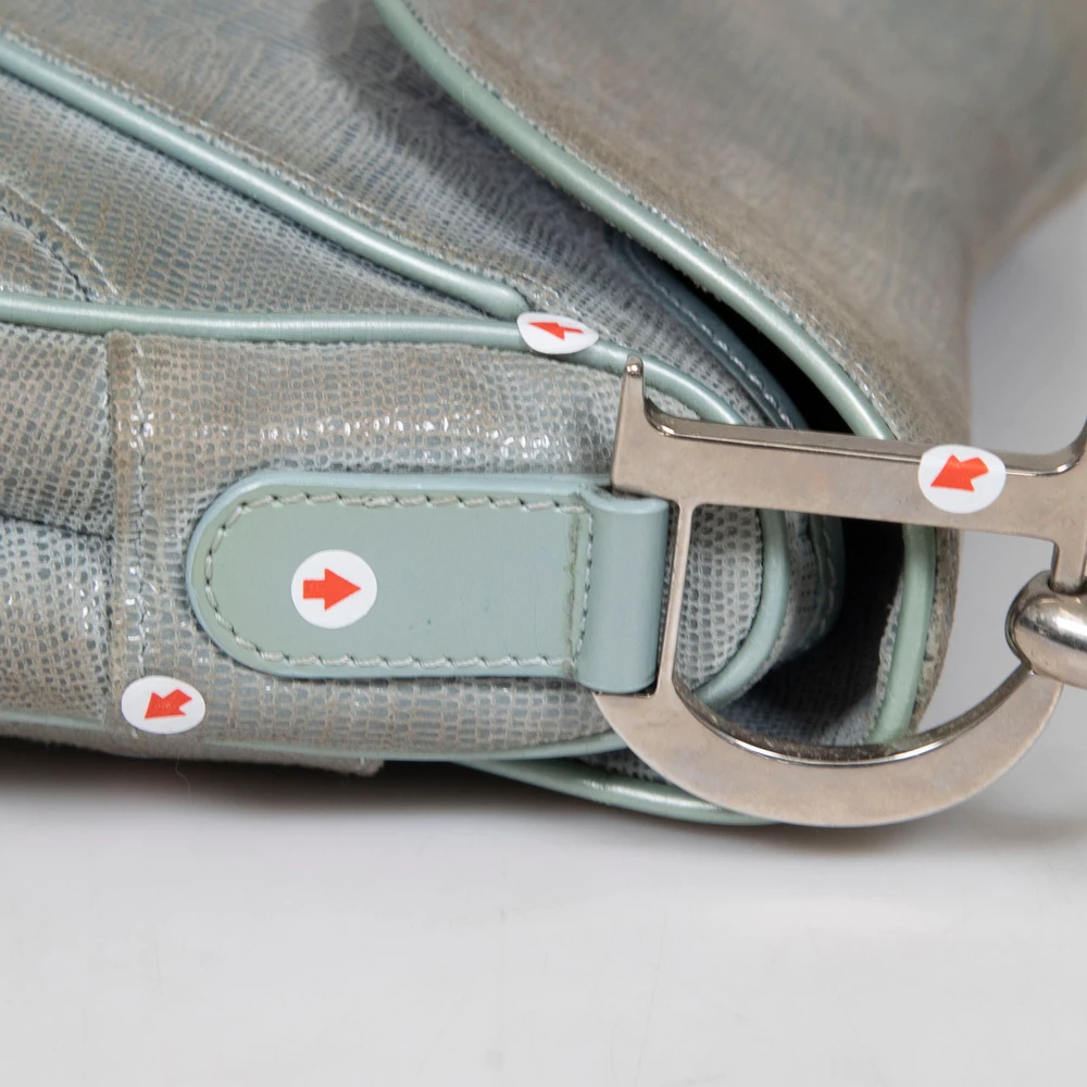 Dior Vintage Duck Egg Blue Lizard Emboss Double Saddle