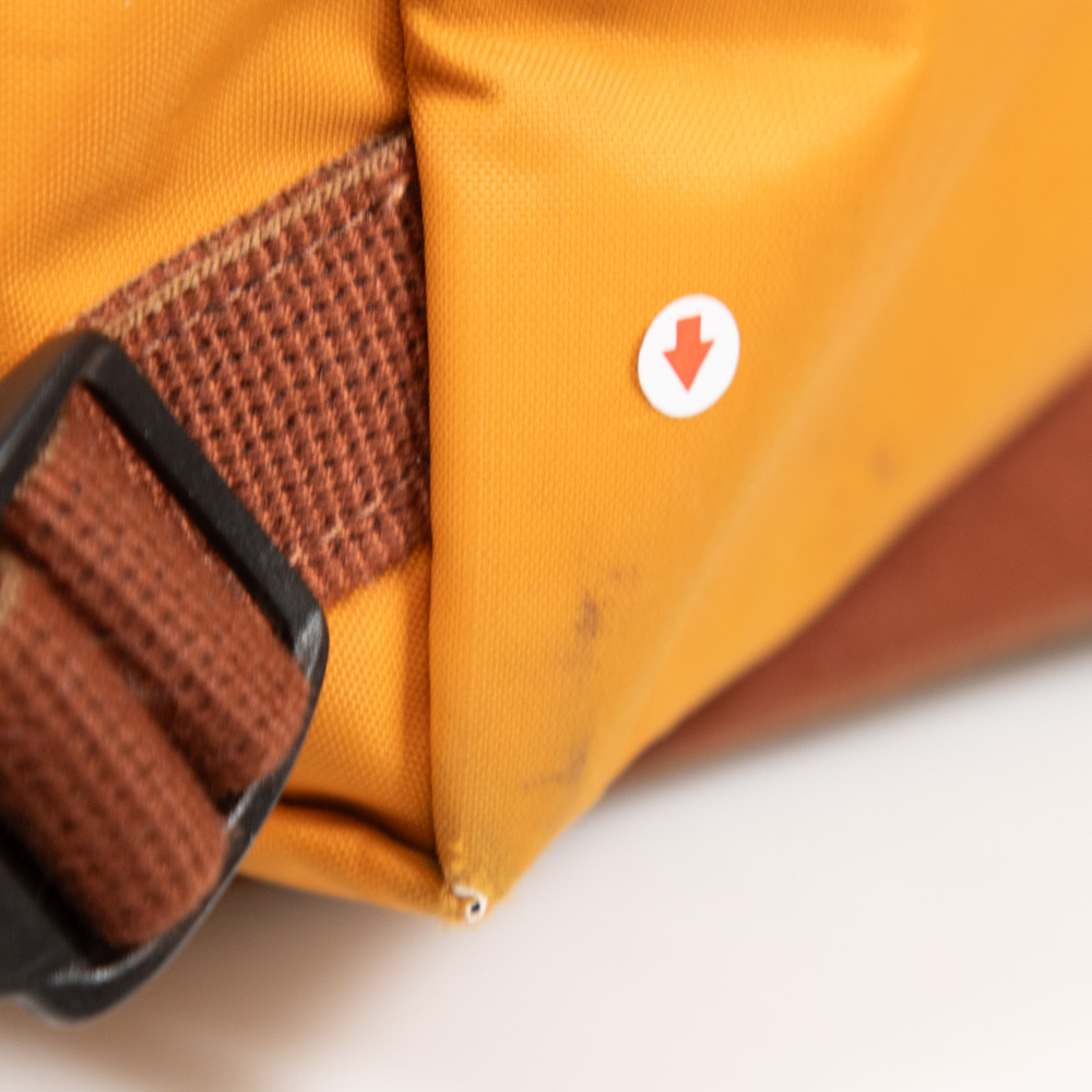 Longchamp Orange Le Pliage Backpack
