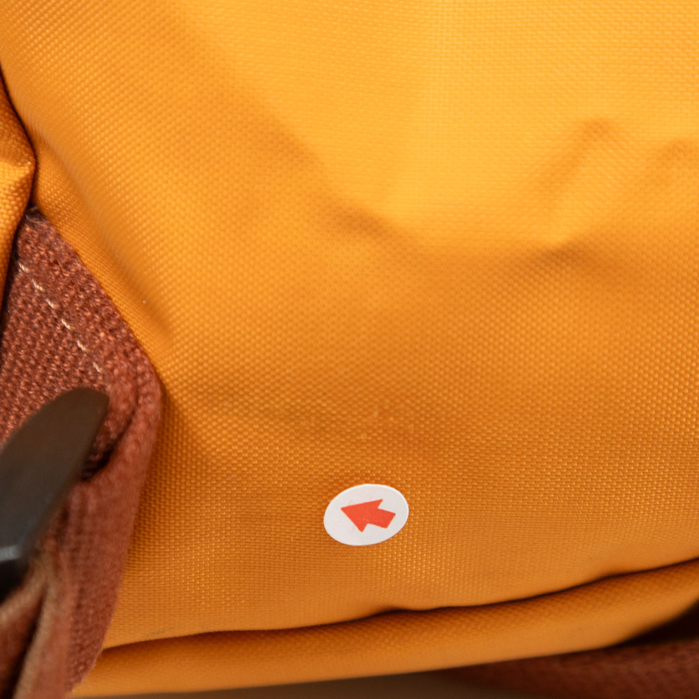 Longchamp Orange Le Pliage Backpack