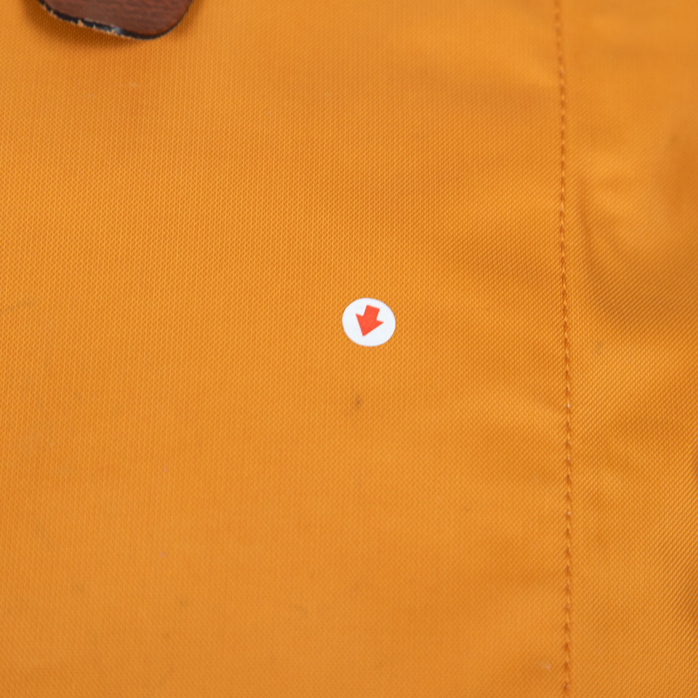 Longchamp Orange Le Pliage Backpack