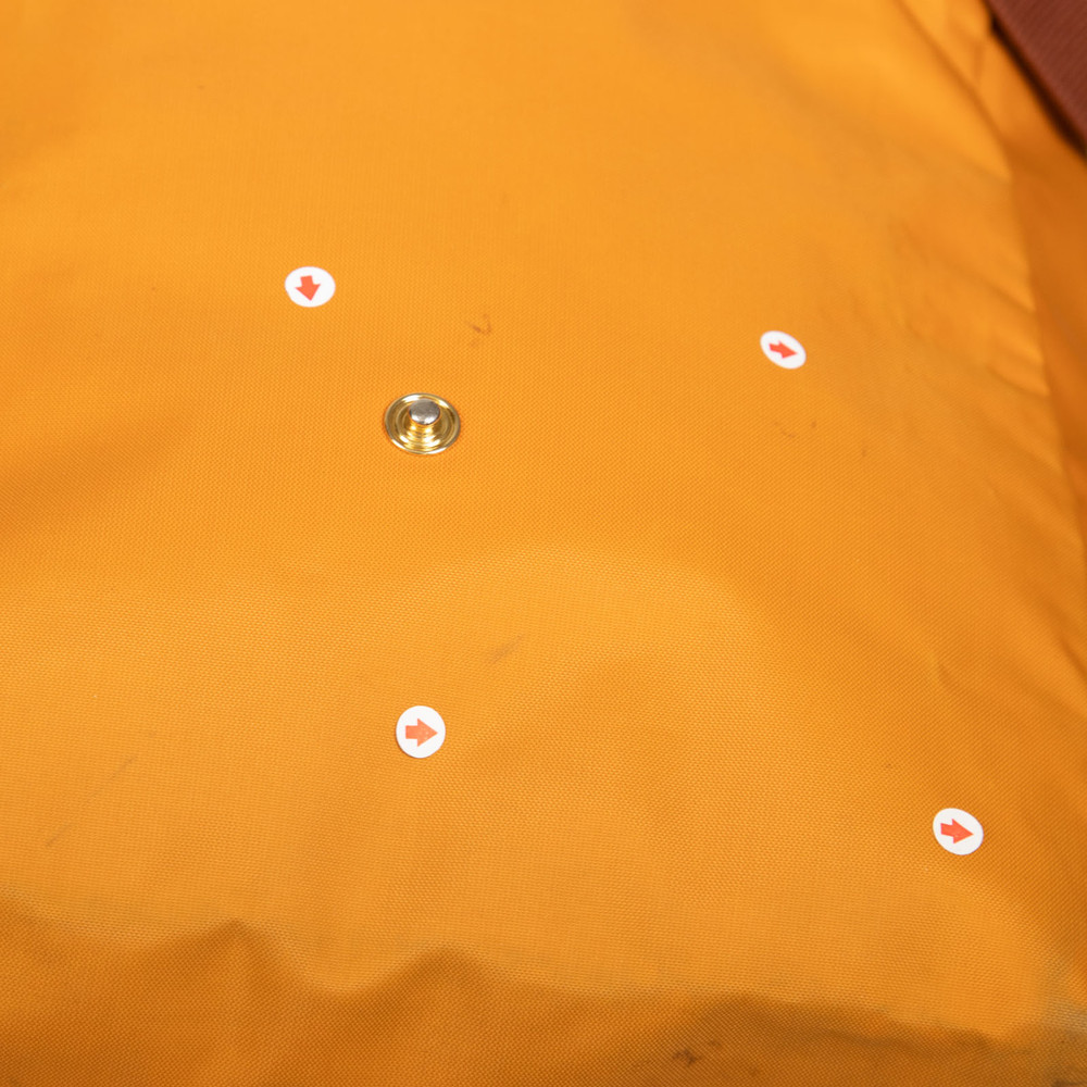 Longchamp Orange Le Pliage Backpack