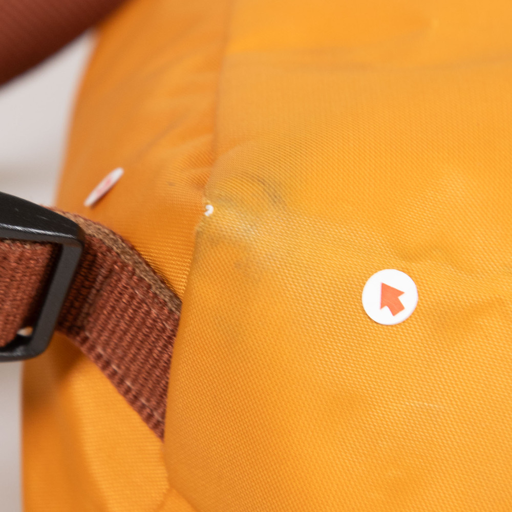 Longchamp Orange Le Pliage Backpack