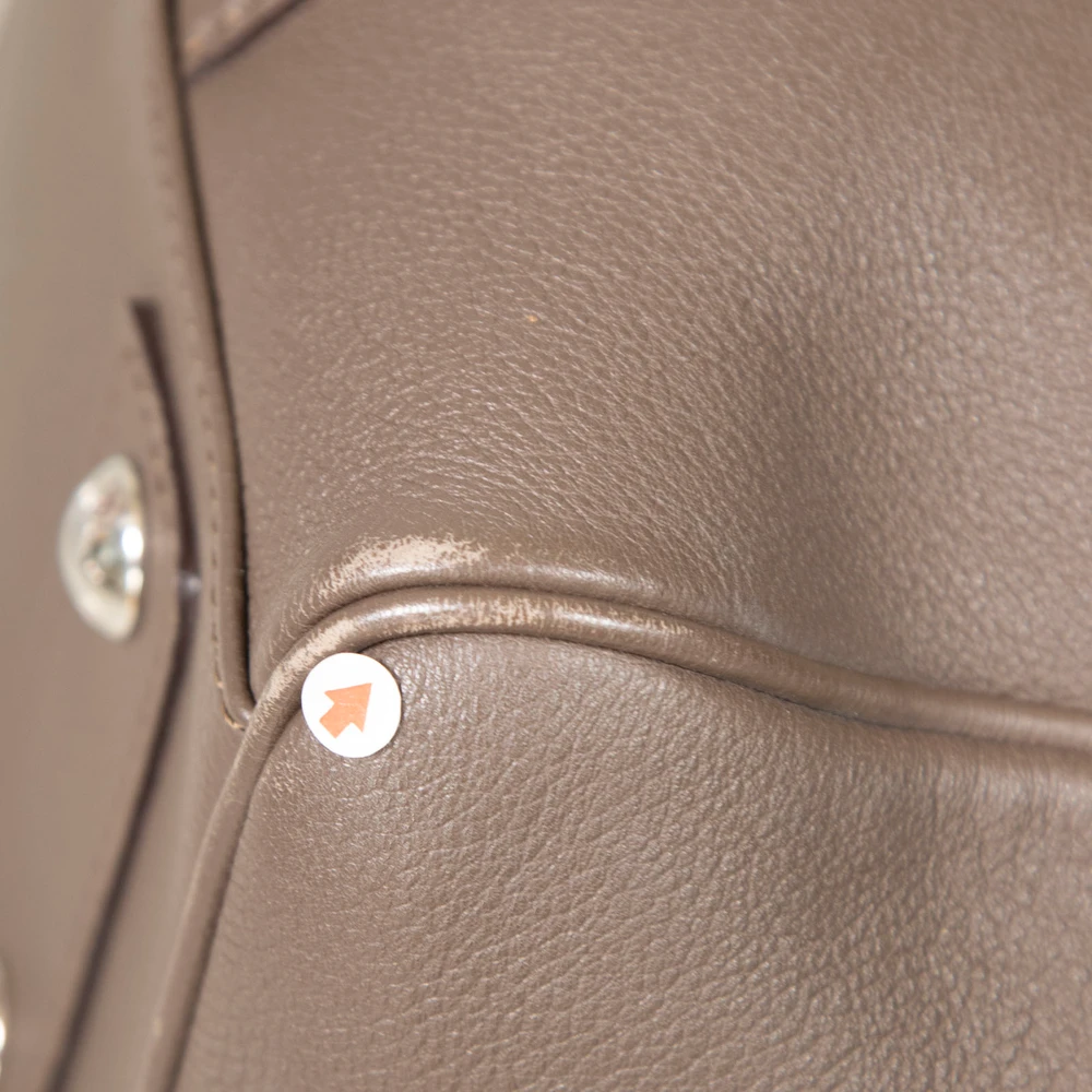 Louis Vuitton 2013 Brown Sofia Coppola SC Speedy 30