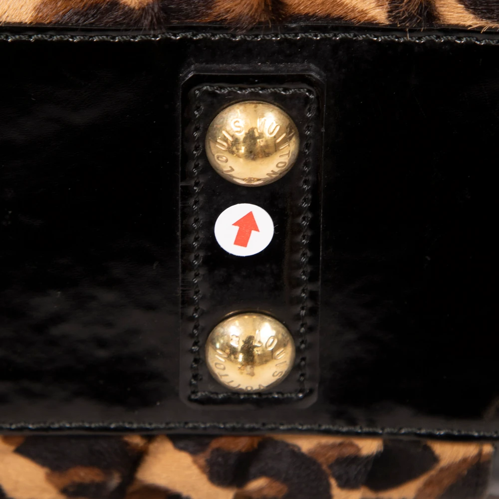 Louis Vuitton Vintage 2006 Louis Vuitton x Stephen Sprouse Adele Bag