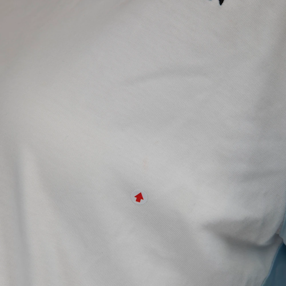 Alexander McQueen Blue & White T-Shirt