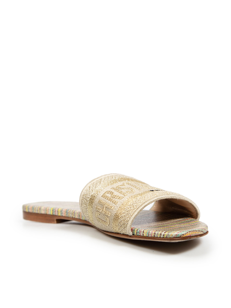 Dior Multicolour Dway Slides