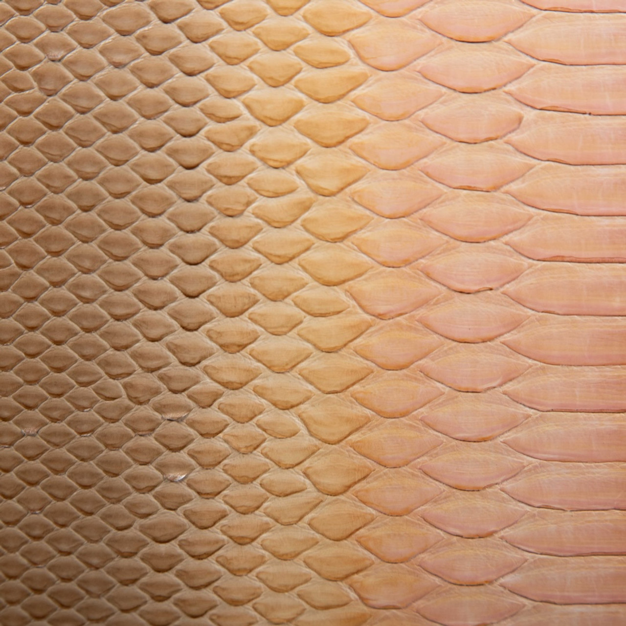 Dior Beige Ombré Python Large Lady Dior Tote Bag