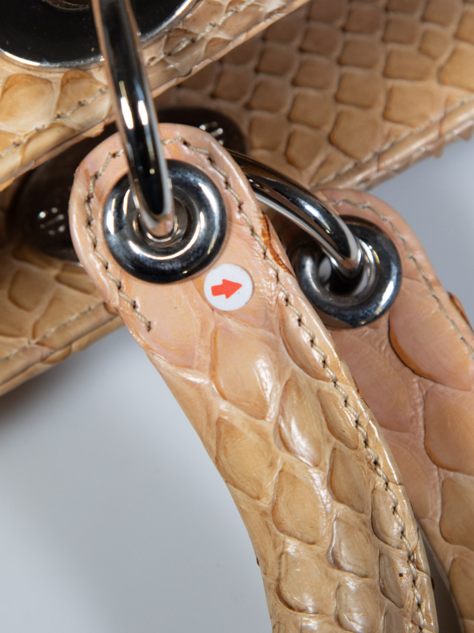 Dior Beige Ombré Python Large Lady Dior Tote Bag