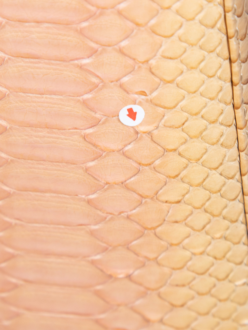 Dior Beige Ombré Python Large Lady Dior Tote Bag