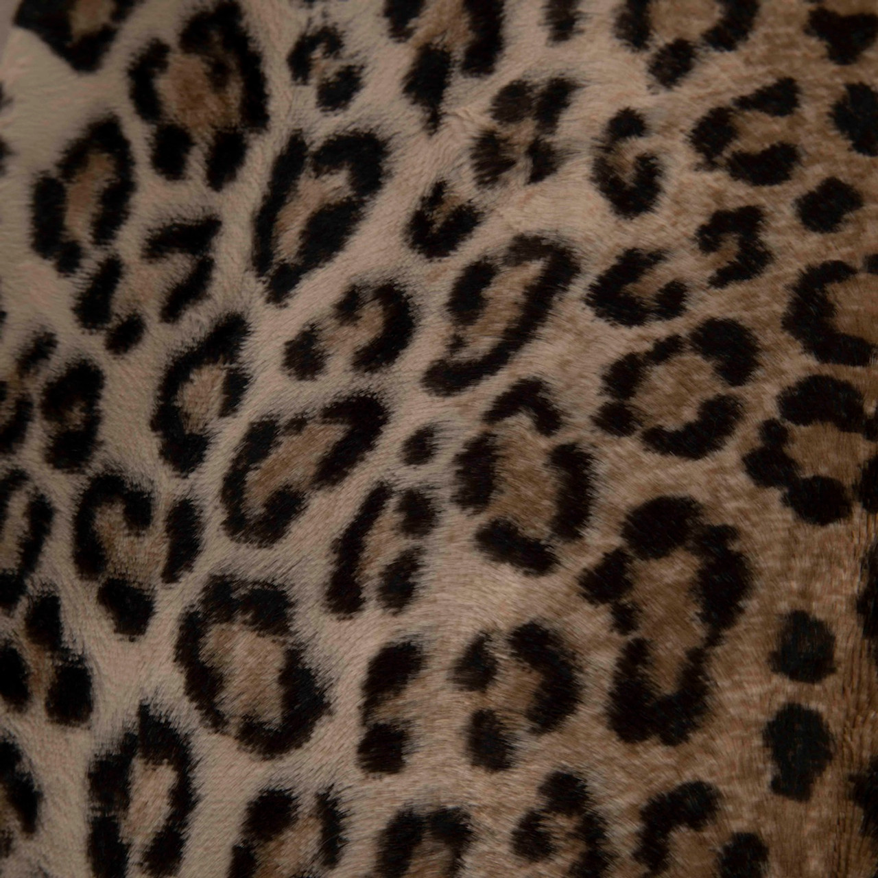 Emilia Wickstead Leopard Print Velour Long Coat Emilia Wickstead Leopard Print Velour Long Coat