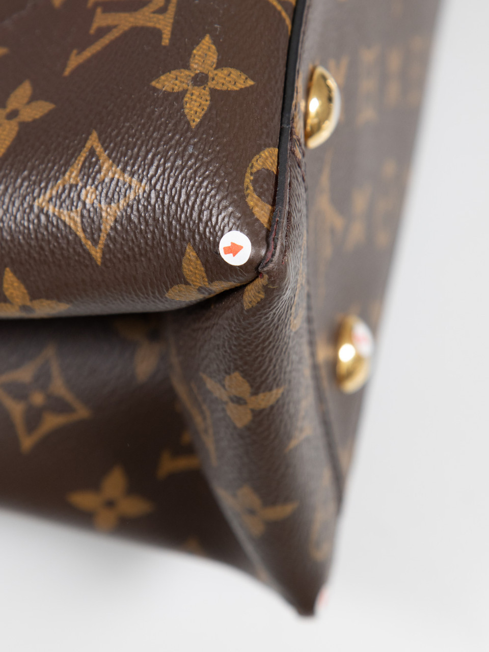 Louis Vuitton 2018 Brown & Coquelicot Flower Tote