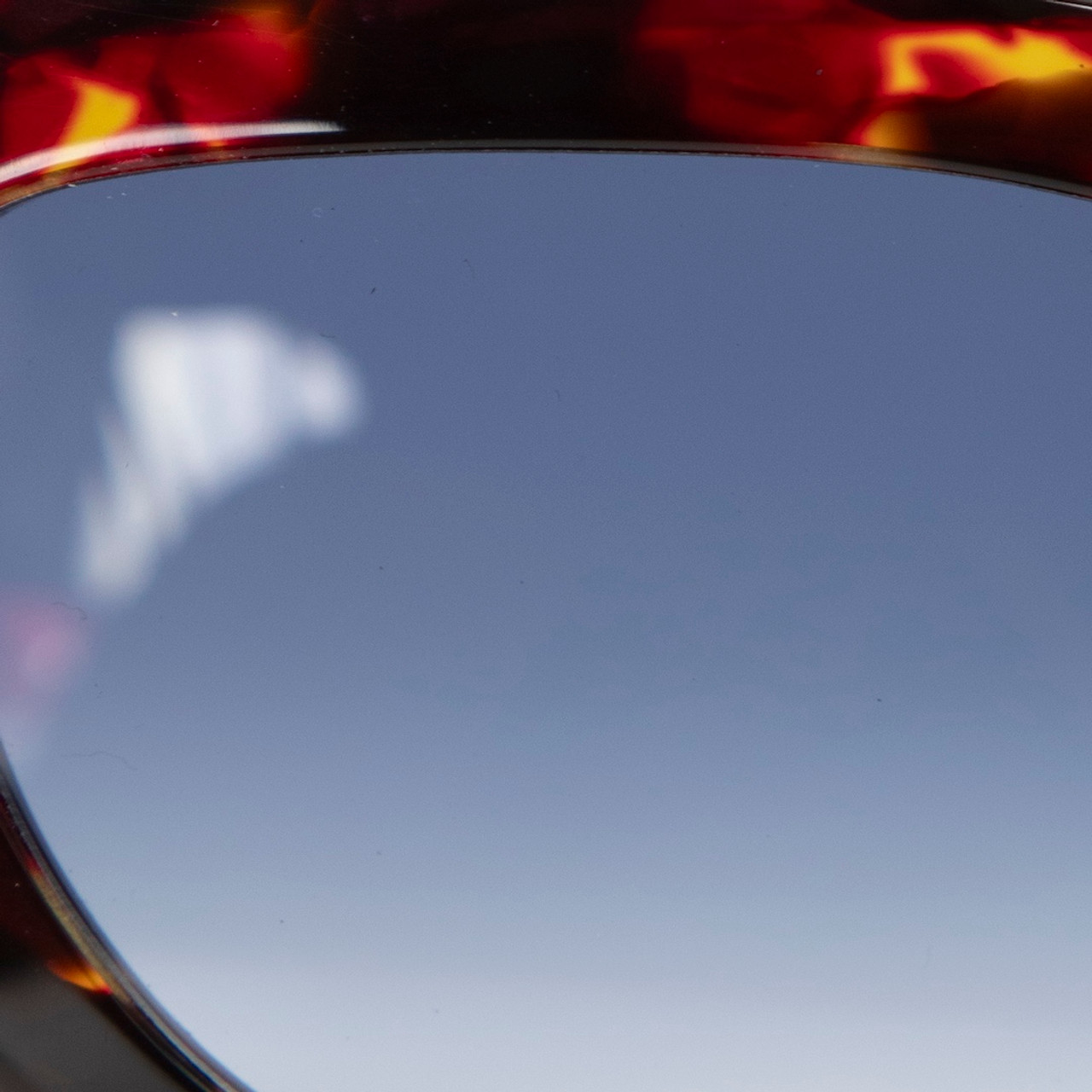 Victoria Beckham Havana Red Cat Eye Gradient Sunglasses