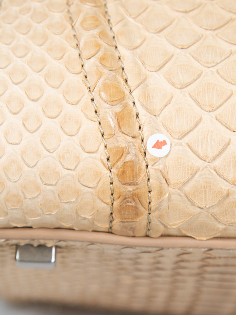Céline Beige Python Medium Luggage Phantom Bag