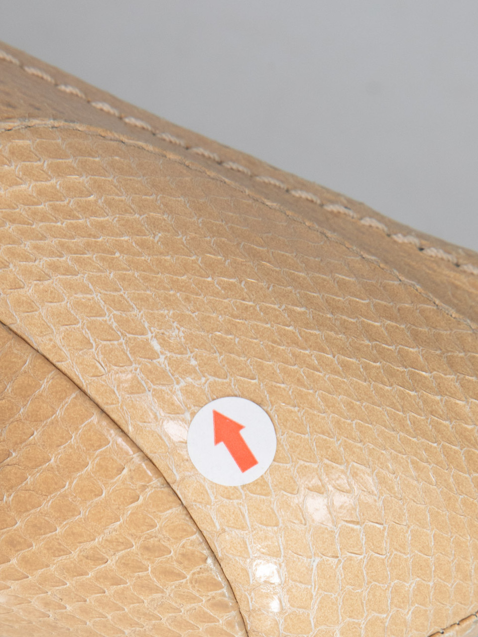 Dolce & Gabbana Beige Snakeskin Pointed Logo Heels