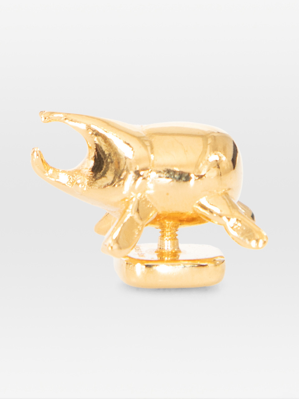 Loewe Gold Brass Beetle Pin
