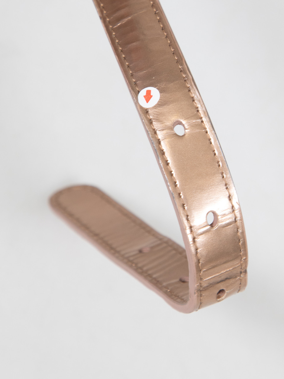 Dior Metallic Two-Tone Leather Diorama Bag