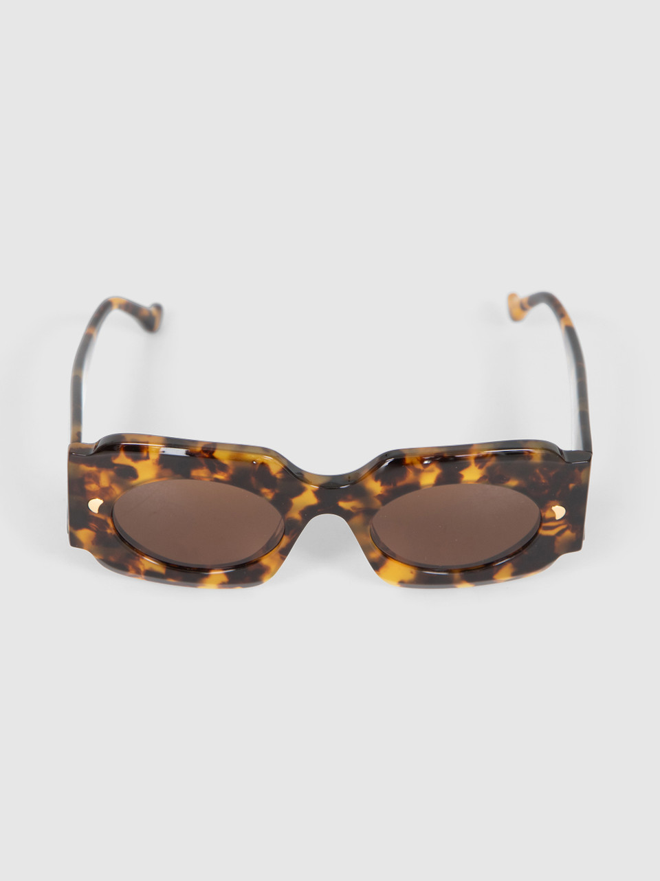 NANUSHKA Brown Tortoiseshell Cathi Sunglasses