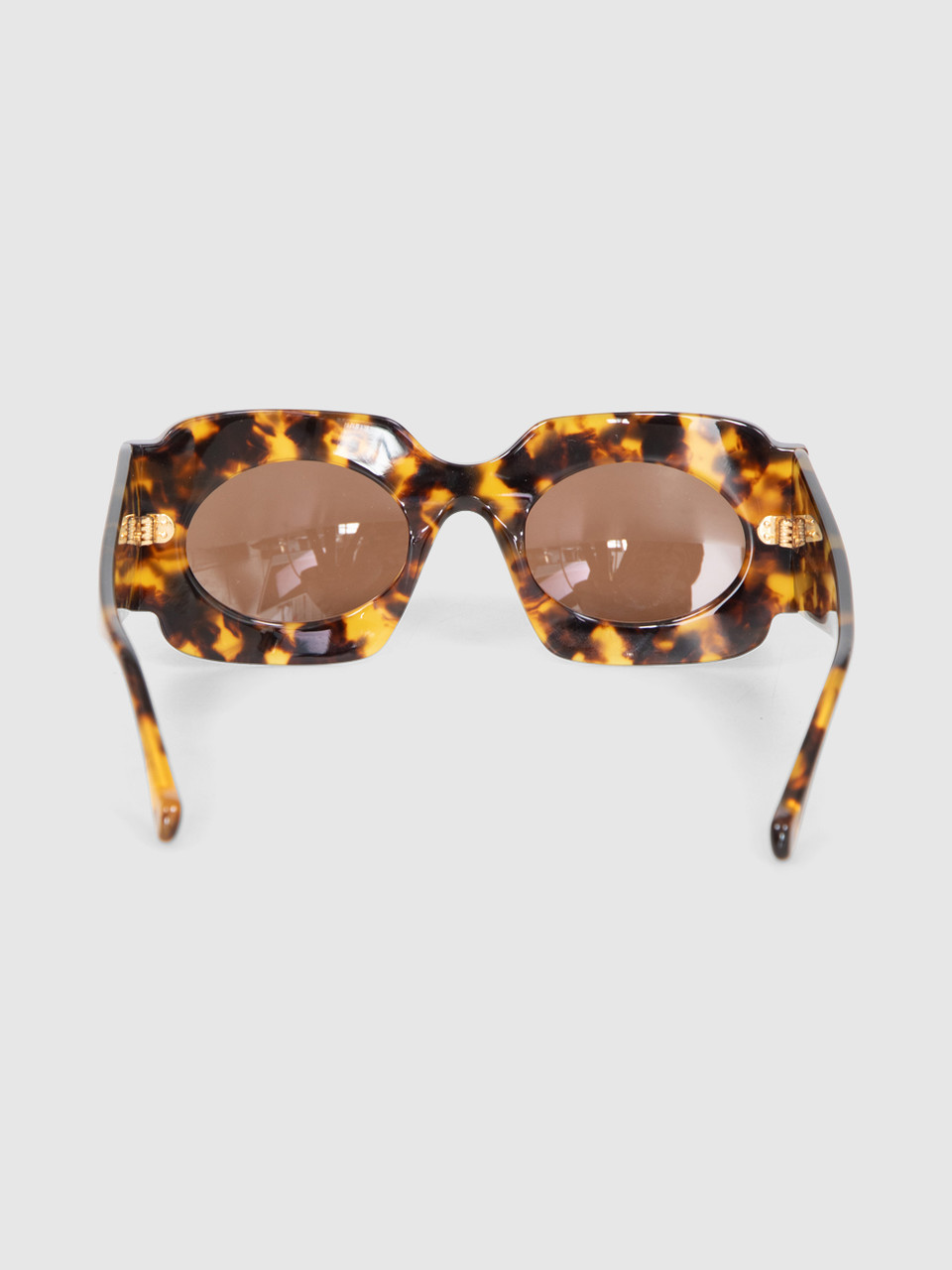 NANUSHKA Brown Tortoiseshell Cathi Sunglasses