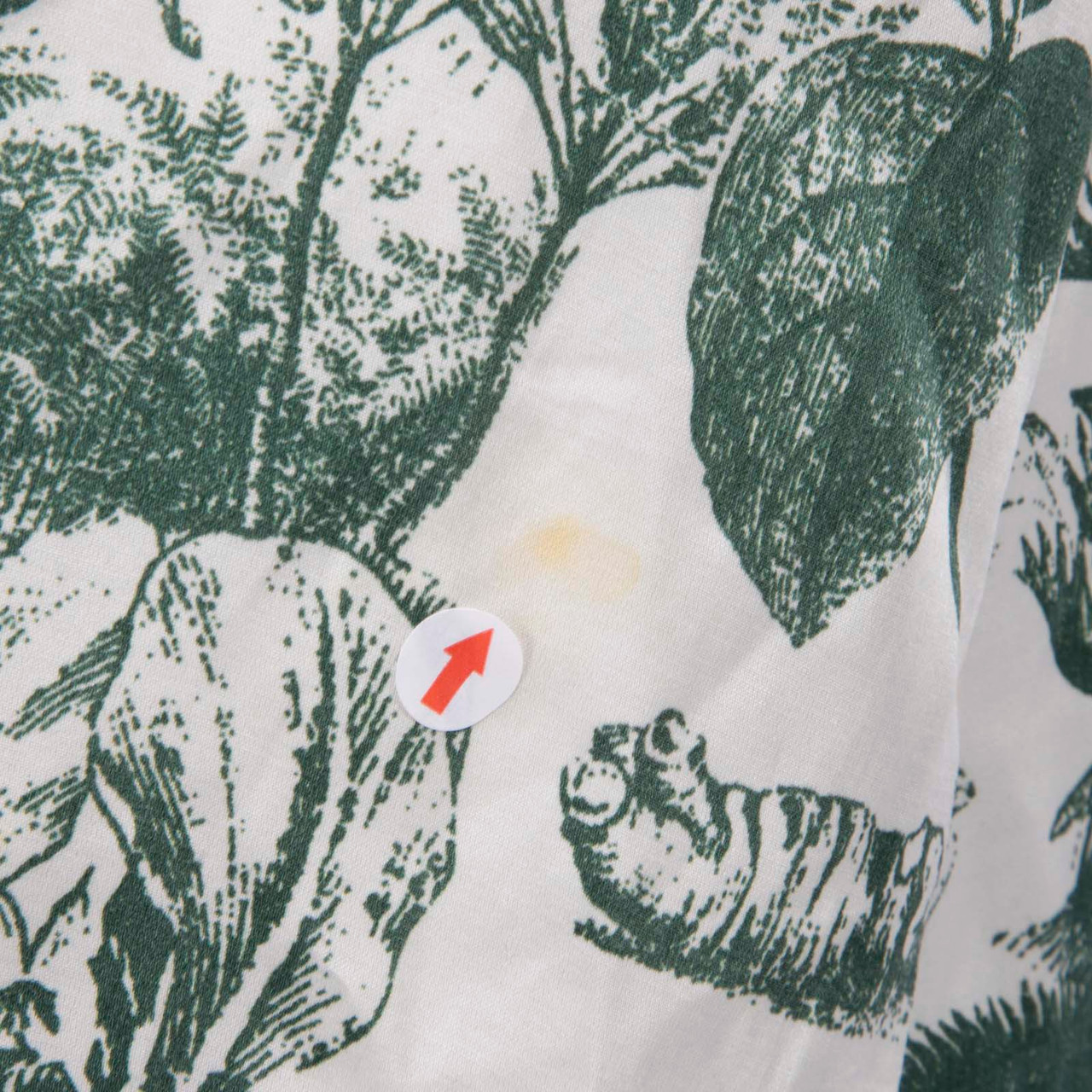 F.R.S For Restless Sleepers Green Floral Dress