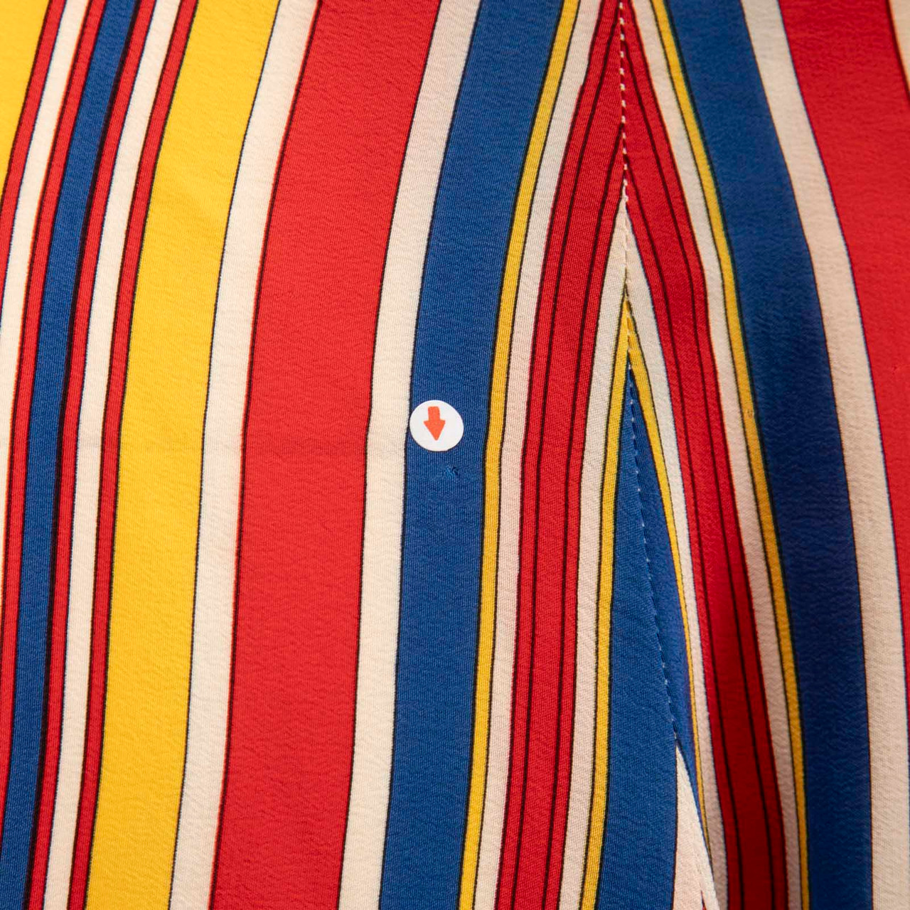 Etro Stripe & Fish Print Silk Knee Length Shorts