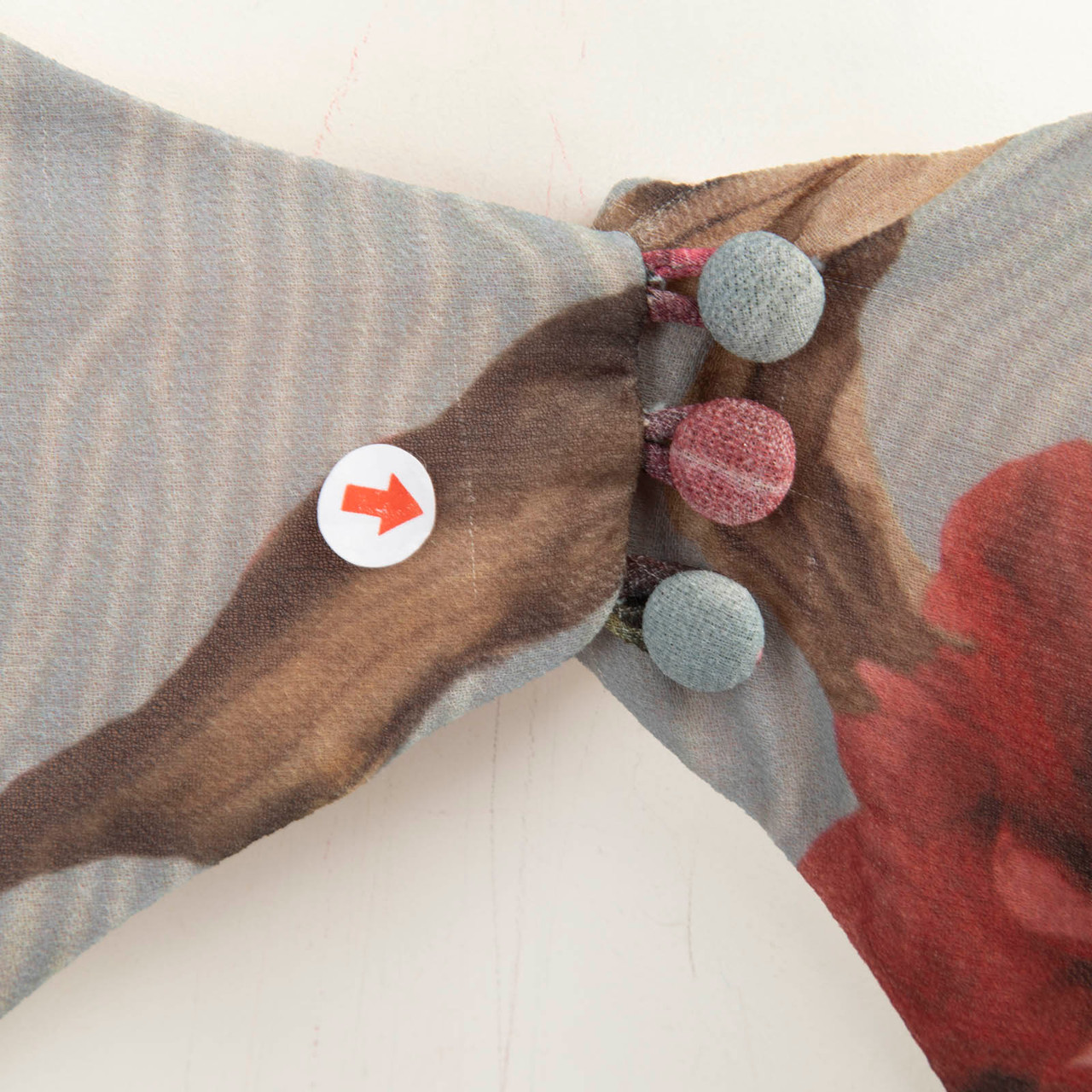 PatBO Floral Print Plunge Neck Backless Dress