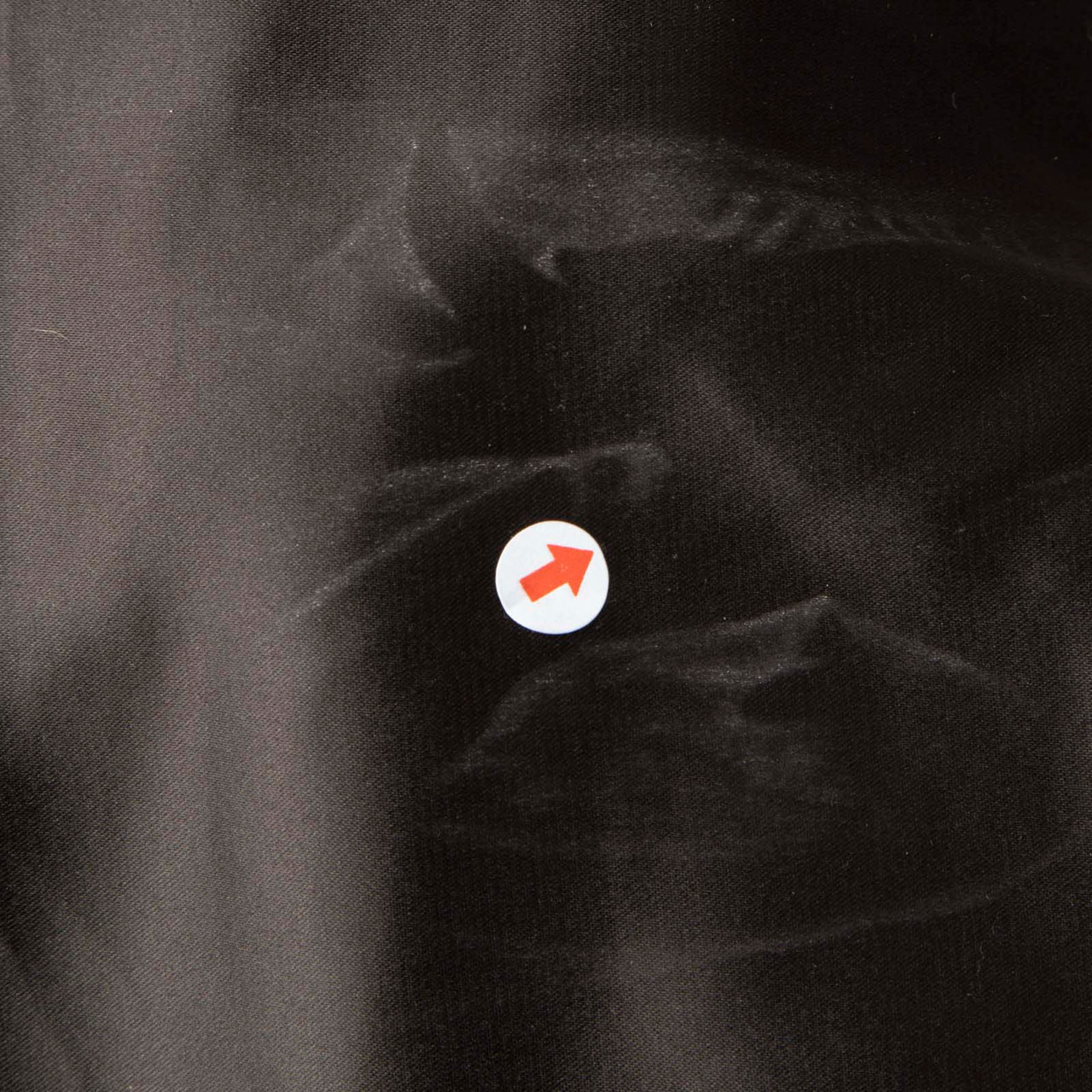 Zadig & Voltaire Black Sequinned Mock Neck Blouse