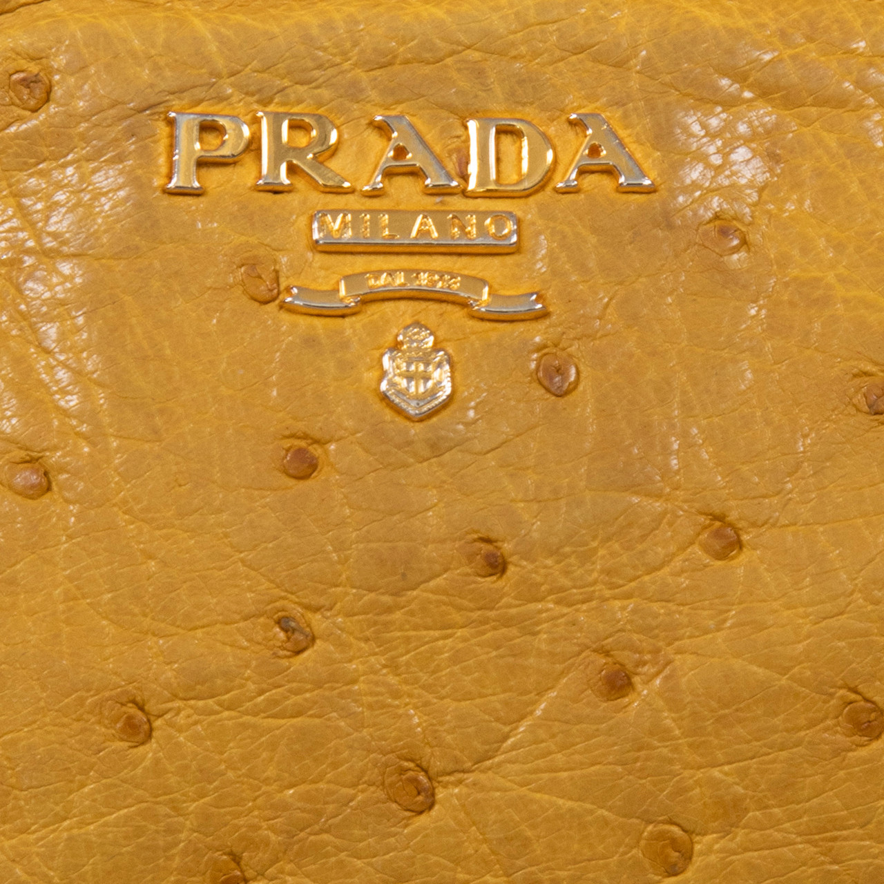 Prada Yellow Soleil Ostrich Leather Coin Purse
