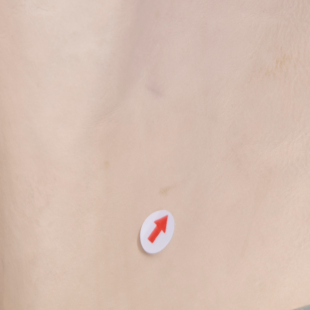 Acne Studios SS13 Ecru Leather Verena Trousers