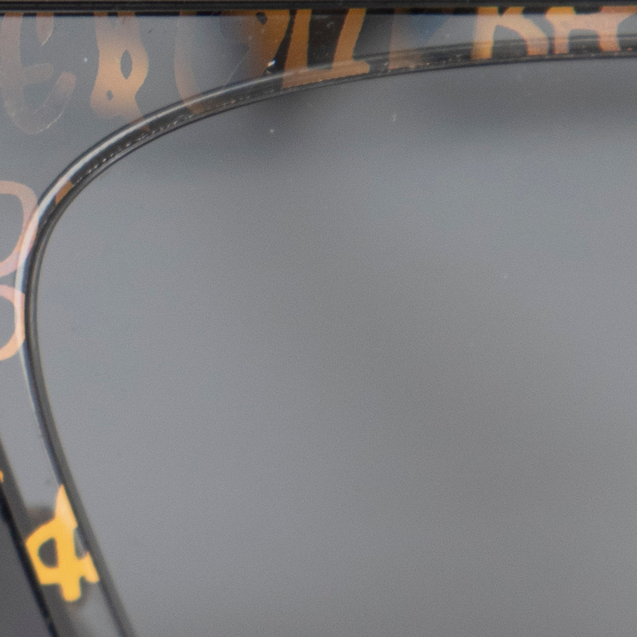 Dolce & Gabbana Black & Gold Logo Sunglasses