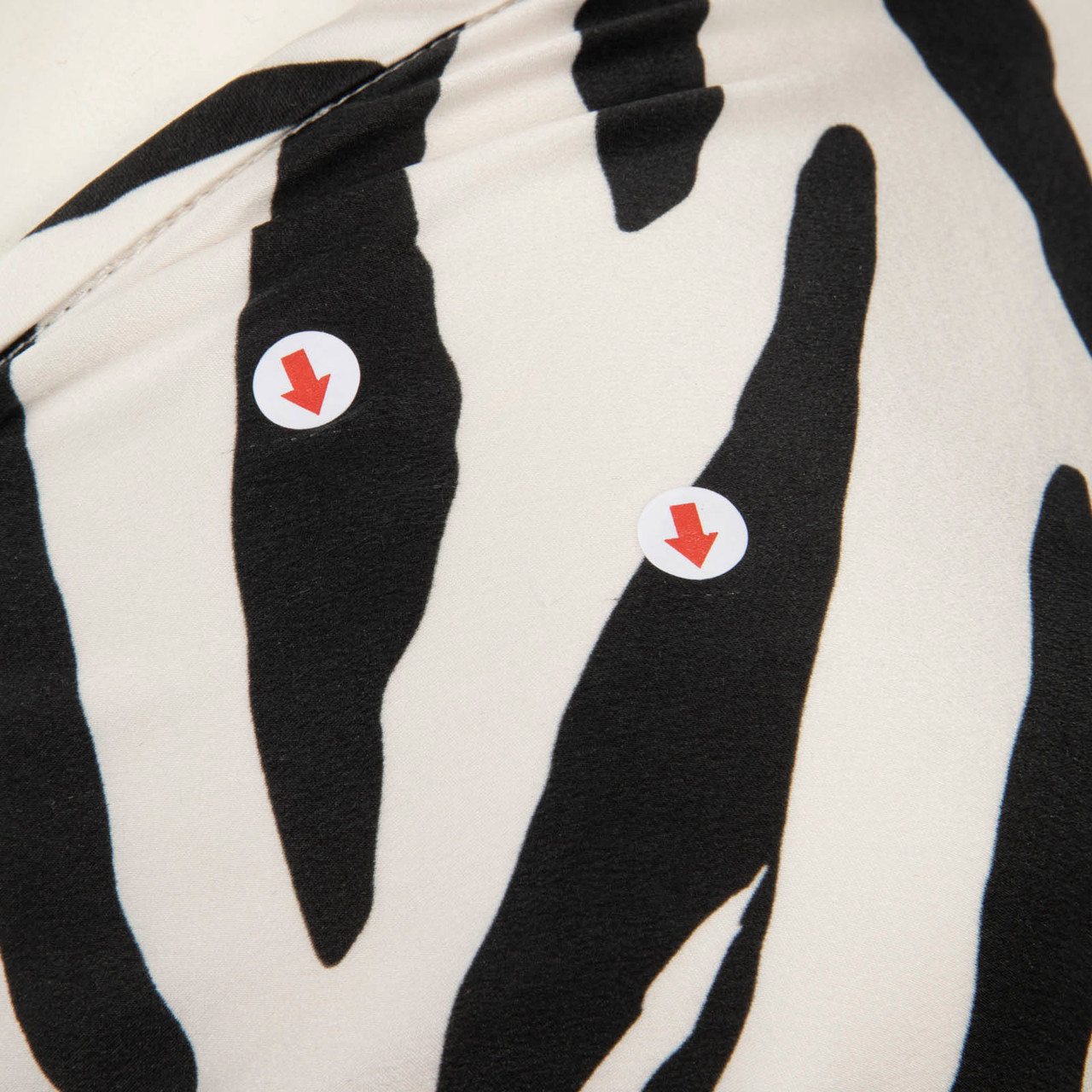 Christopher Esber Zebra Print Silk Dress