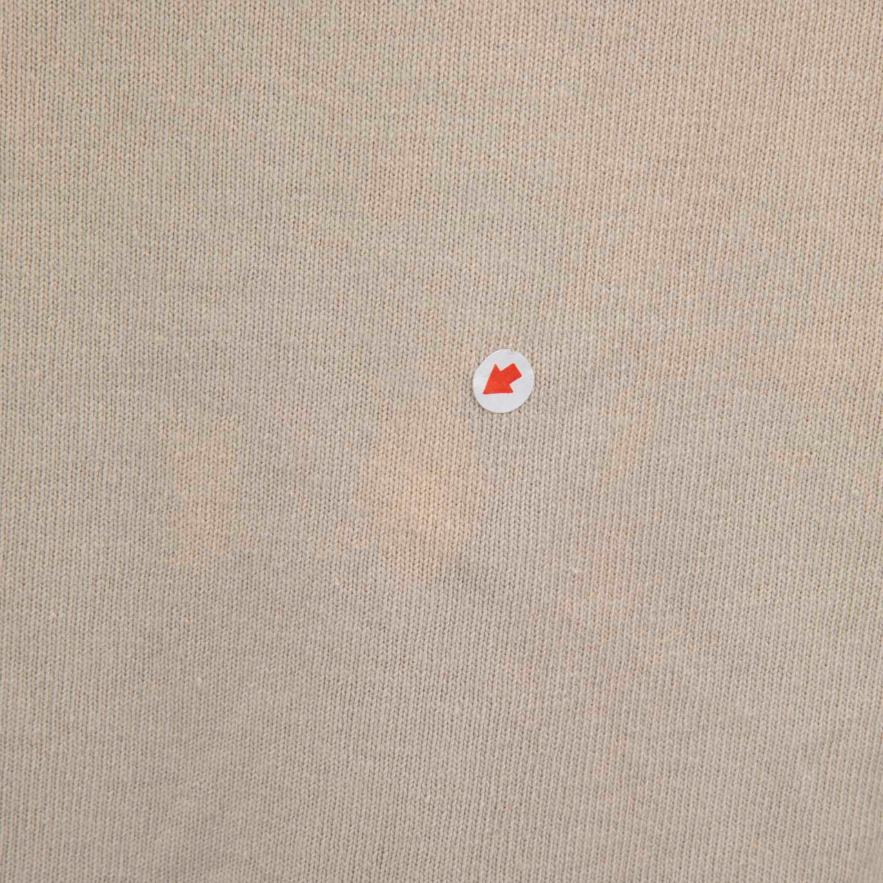 Acne Studios Beige Graphic Mesh Sleeve Top